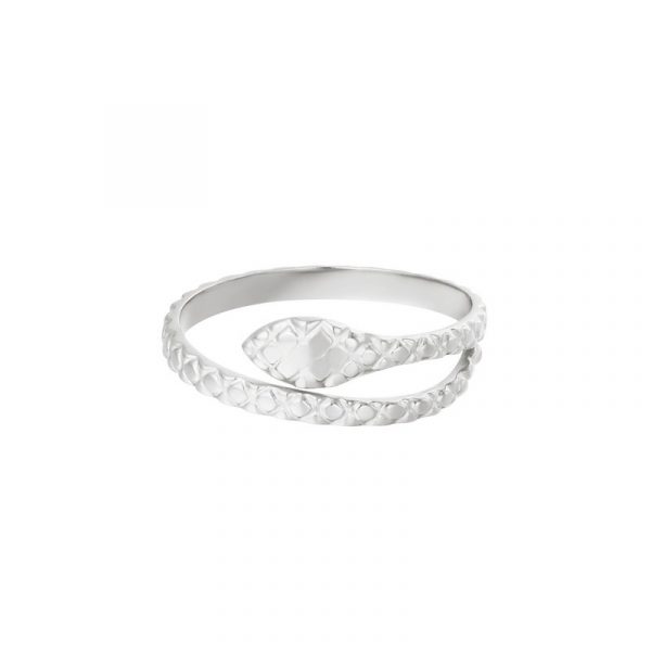 Ring Snake - zilver